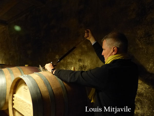 2019 Domaine de l'Aurage - Castillon