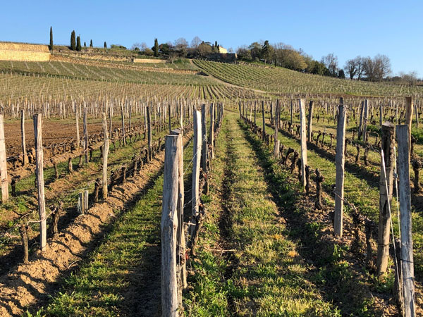 2021 Château Tertre-Rôteboeuf - St.-Emilion