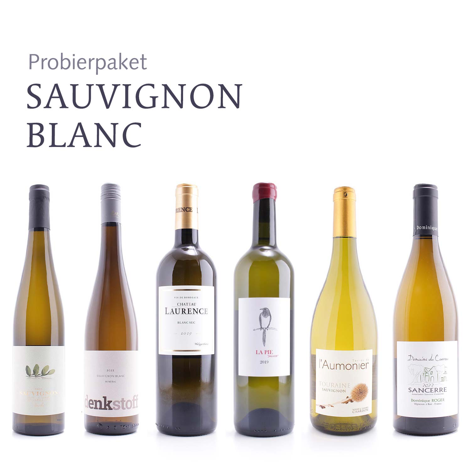 SAUVIGNON BLANC | Probierpaket | 1 x 6 Flaschen frei Haus innerhalb Deutschland