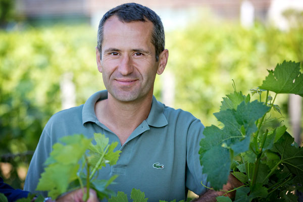 2020 Château Laurence - Bordeaux Supérieur